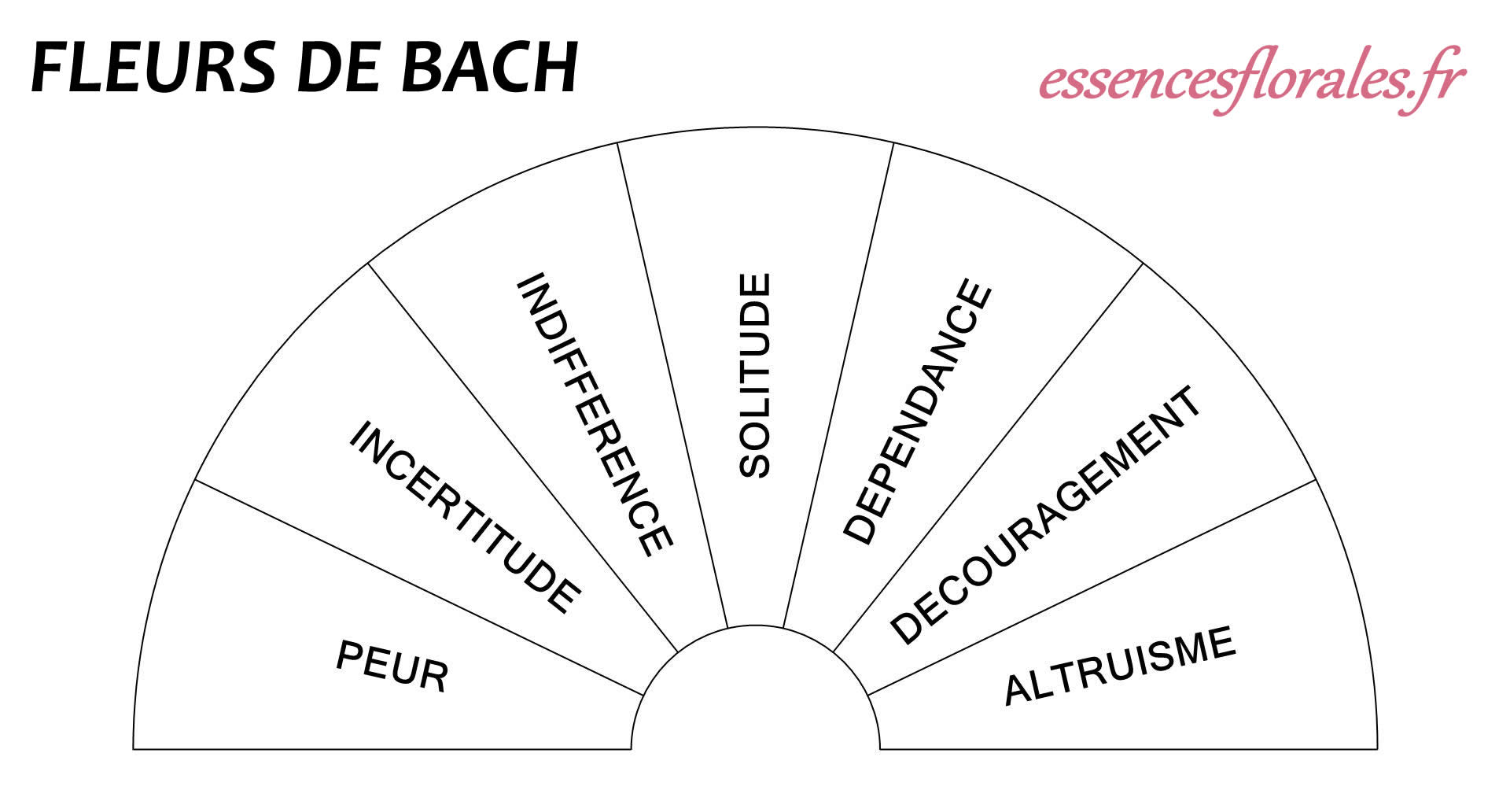 Planches Pendule Fleurs de Bach